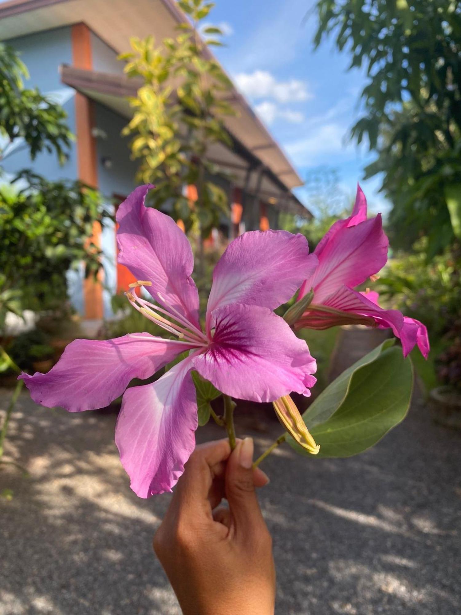 Villafarmsuk@Khanom Luaran gambar